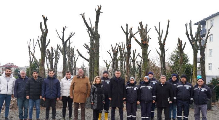 Sökülen Ağaçlarımıza Seramızda Özenle Bakıyoruz