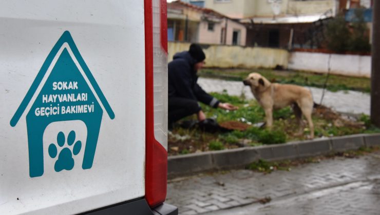 Süleymanpaşa Belediyesi Olumsuz Hava Koşullarında da Can Dostlarının Yanında